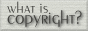 What is Copyright Protection?