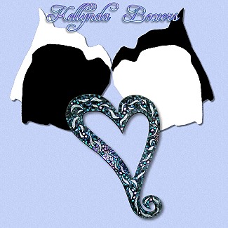 Kellynda Boxers