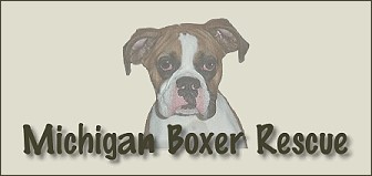 Michigan Boxer Rescue